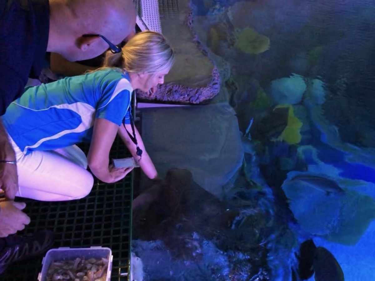 a person sitting in a room