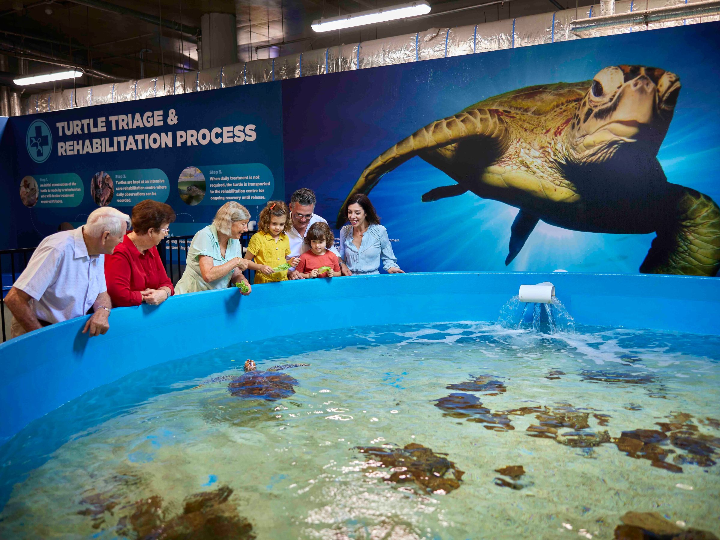 a group of people swimming in a pool of water