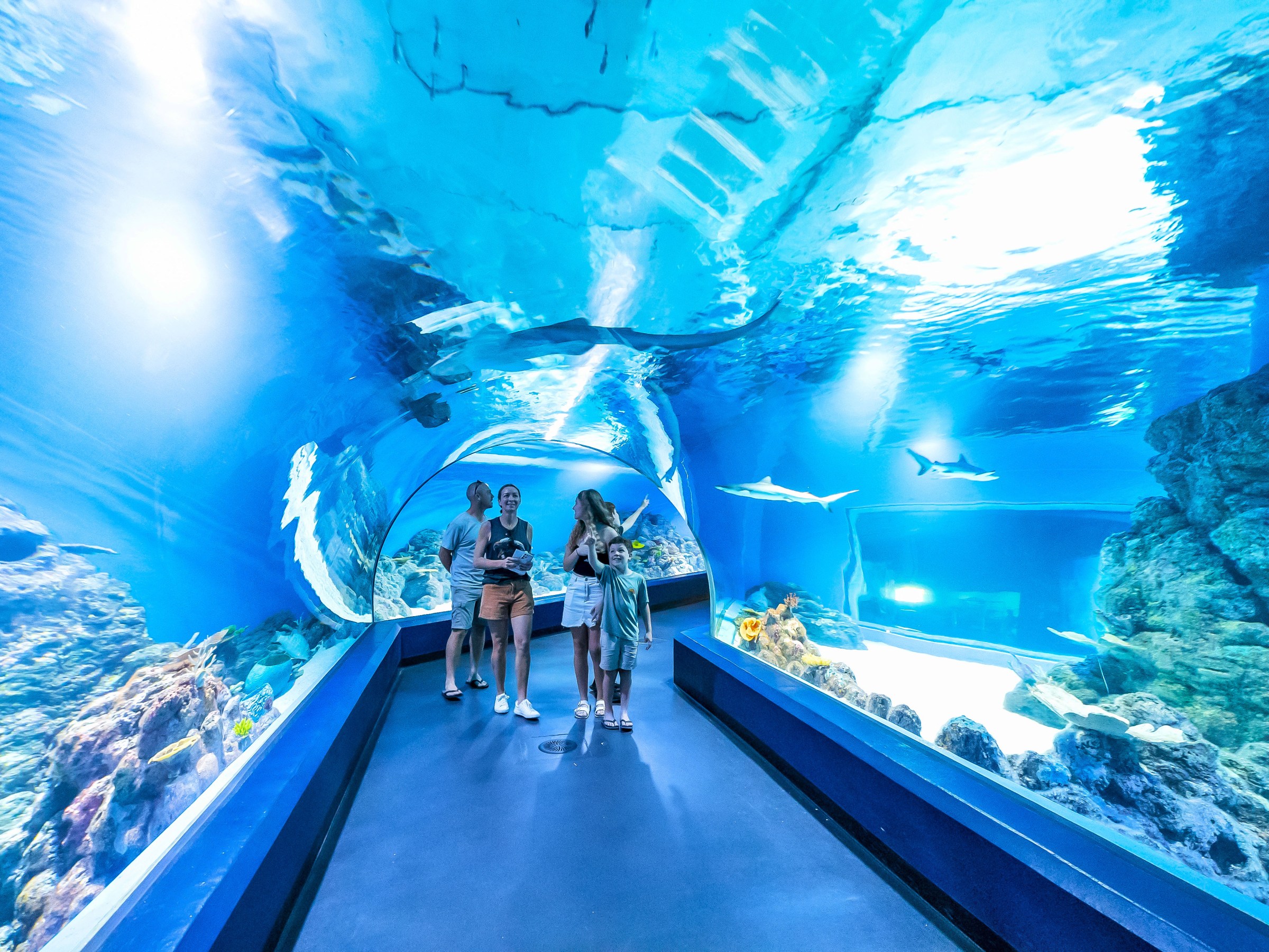 People walking through an underwater tunnel in an aquarium.