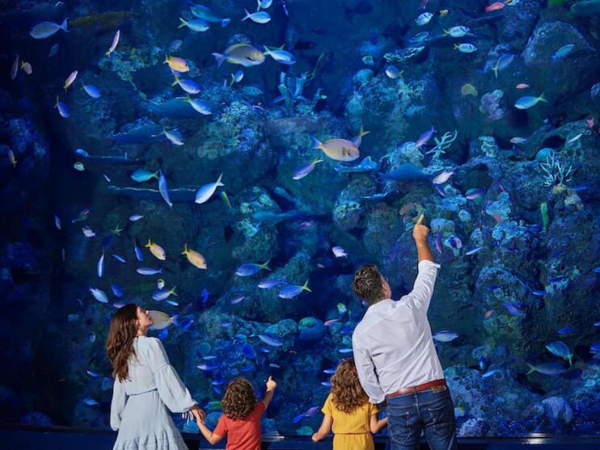 a group of people standing in front of a window