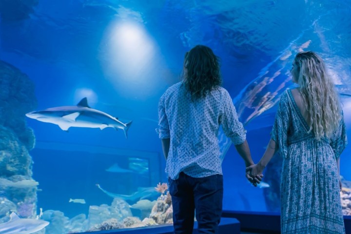a person standing in front of water