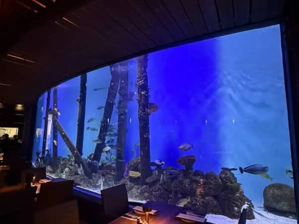 Restaurant interior with large aquarium and table setting.