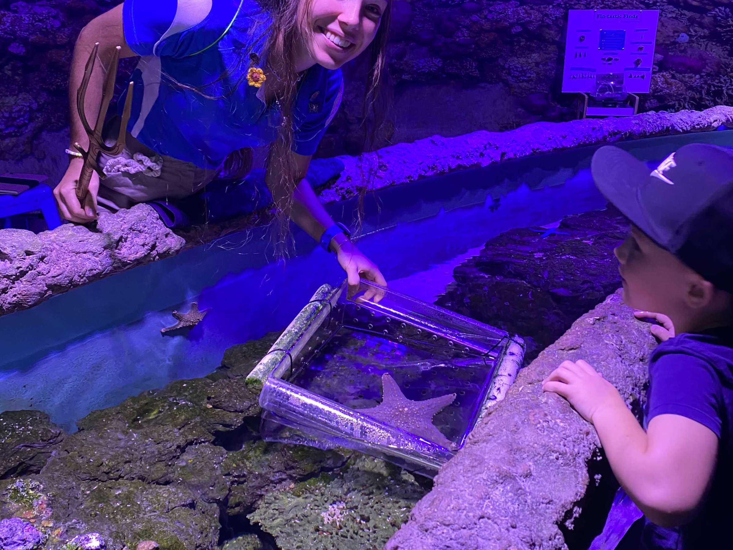 Woman in butterfly costume shows a starfish to a child at an aquarium touch pool.