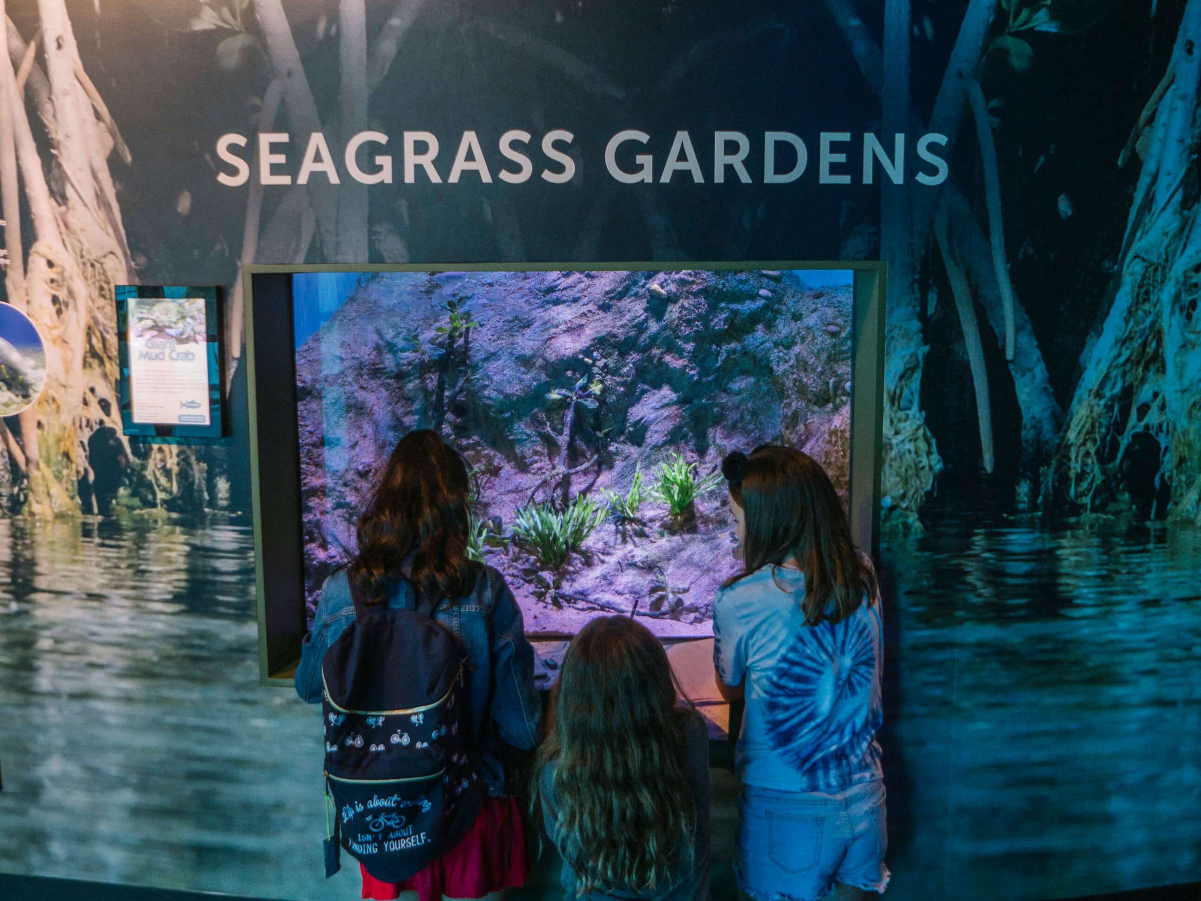 Three children view an aquarium exhibit labeled 'Seagrass Gardens' with vivid underwater imagery.